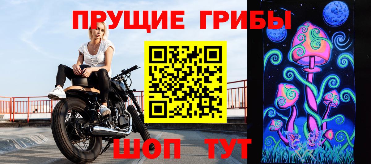 Алексеевка  Псилоцибиновые грибы Psilocybe  Вход с VPN 