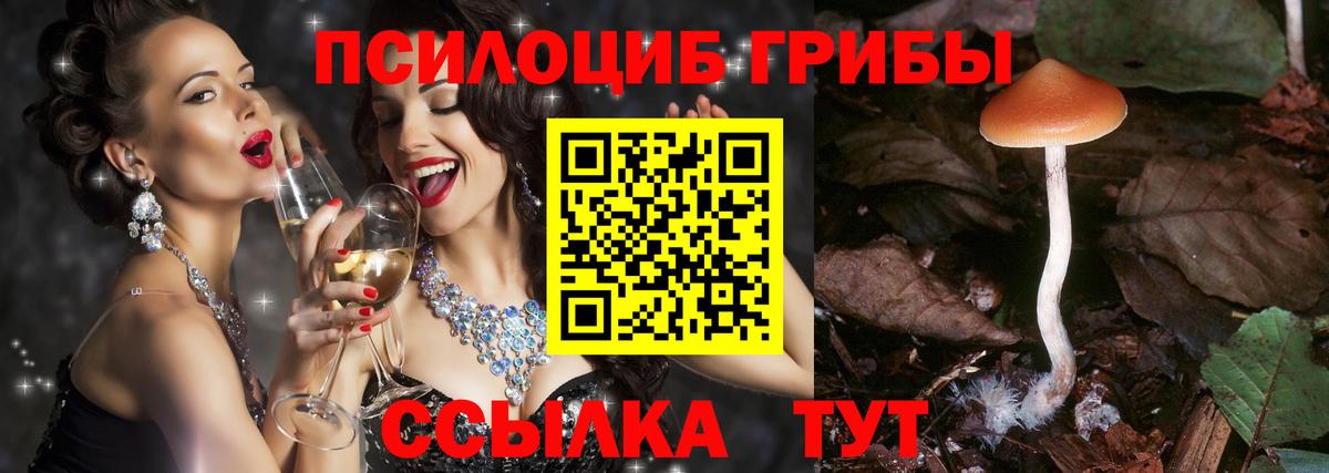Галлюциногенные грибы прущие грибы Алексеевка