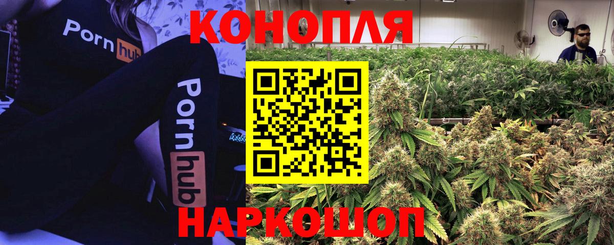 Бошки Шишки семена Алексеевка